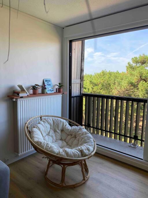 Grand T2 A 150M De La Plage Διαμέρισμα Seignosse Εξωτερικό φωτογραφία